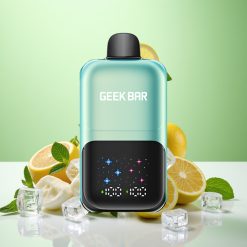 GEEK BAR 2GO 20 مل 50000 نفخة سلسلة مزدوجة قلم تبخير قابل للتصرف بنكهة النعناع المثلج
