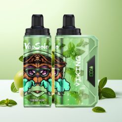 VapSolo VIKING 12000 نفخة جهاز تبخير قابل للتصريف بنكهة النعناع المنعش وشاشة LED