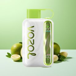 VOZOL STAR 40000 نعناع منعش بخاخ شفط مع بطارية 1000mAh