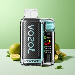 VOZOL Vista 20000 نفخة شاحن بطارية 650mAh نعناع ميامي
